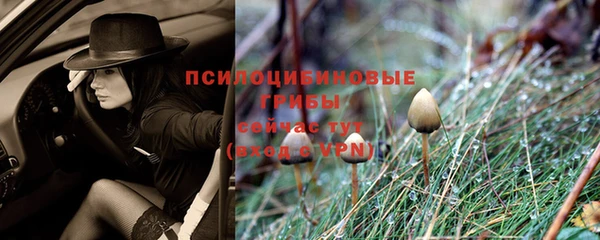 тгк Волоколамск